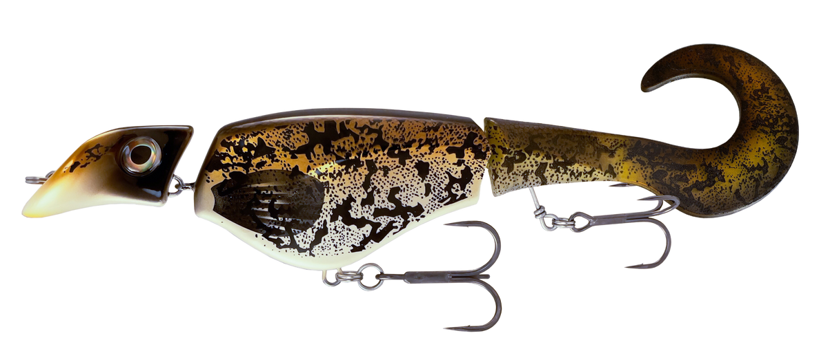 Headbanger Colossus Curly 12"